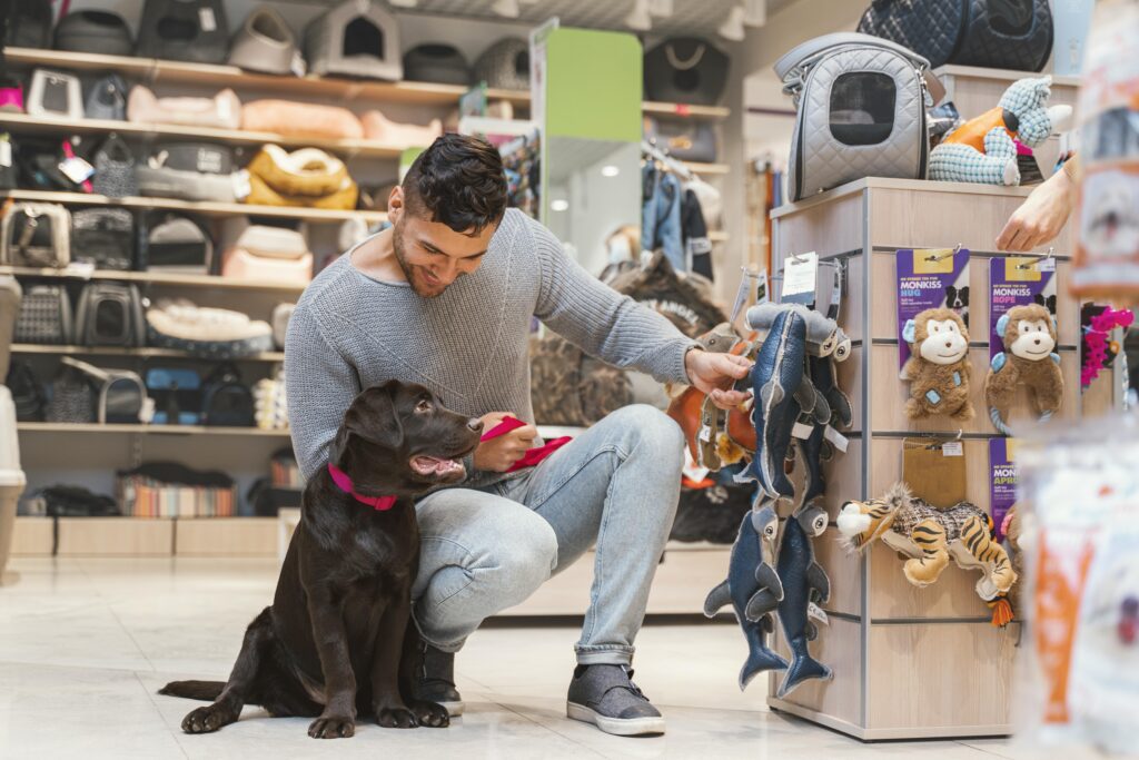 contabilidade para pet shop